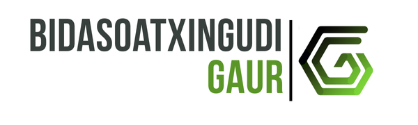 Bidasoa Txingudi Gaur